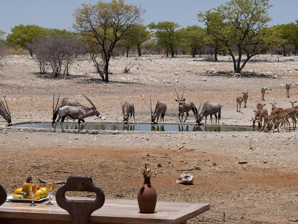 Andersson's Camp - Waterhole